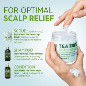 Roycederm ingredients flatlay with tea tree and witch hazel highlighting natural actives