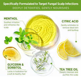 Roycederm product scoop in hand illustrating amount to use and easy application