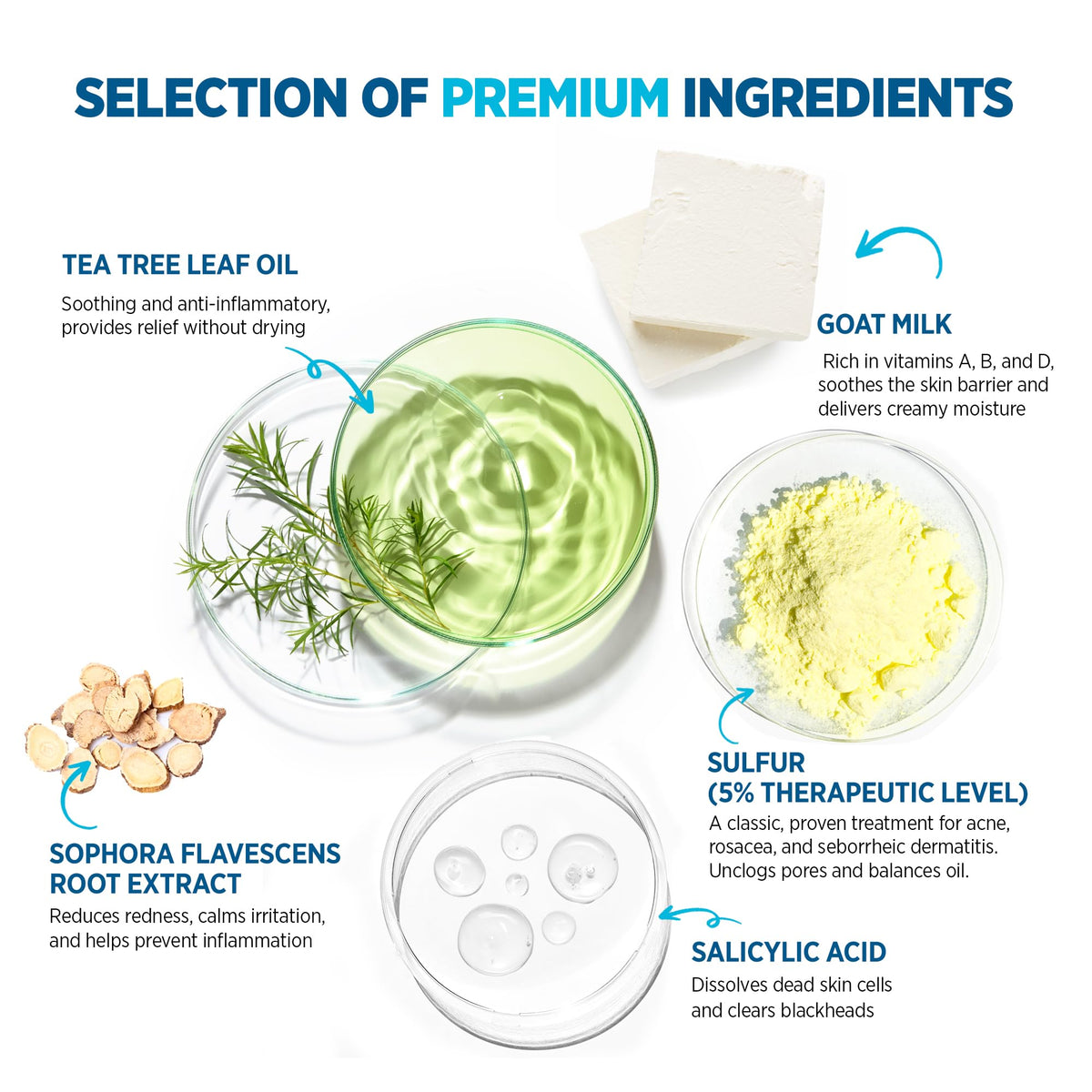 Roycederm lathered soap in hand demonstrating rich cleansing foam