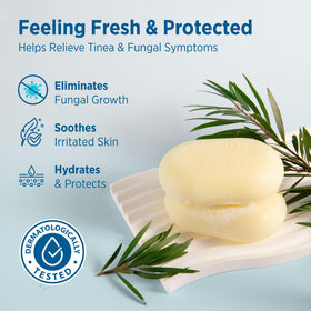 RoyceDerm close-up lather texture illustrating gentle cleansing action