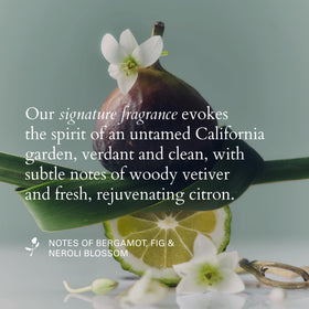 RŌZ oil massaged into skin demonstrating targeted moisture for elbows and cuticles