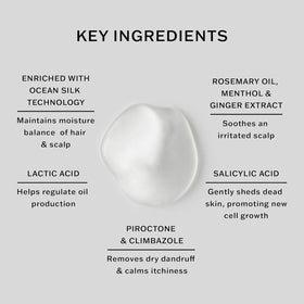 SACHAJUAN shampoo held in hand to show 8.4 fl oz size and portability