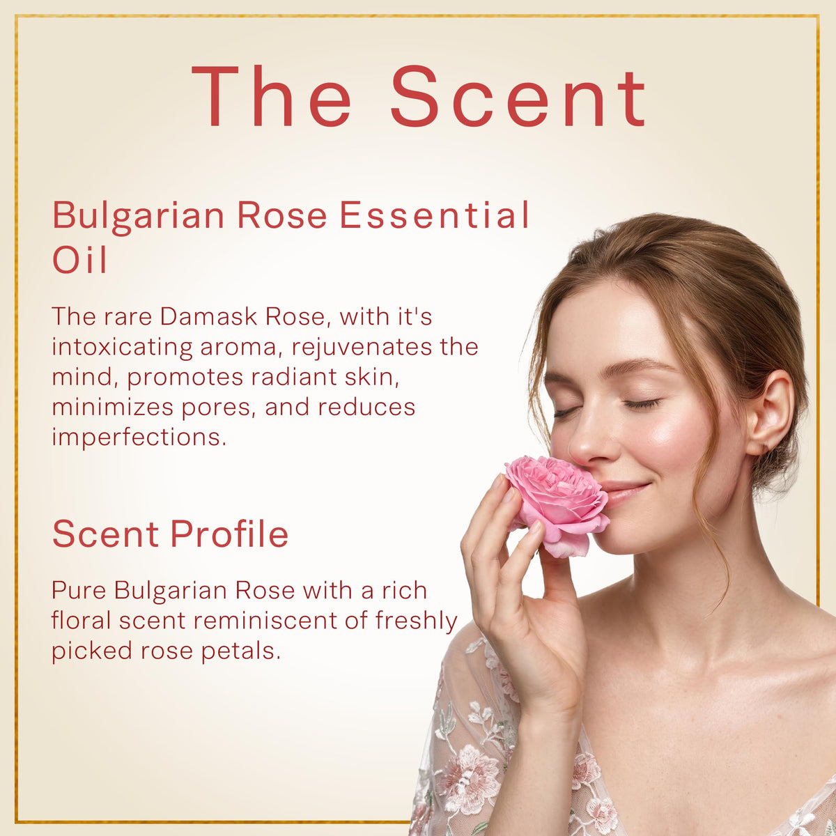 SAFA close-up of real rose petals in oil highlighting natural ingredients benefit