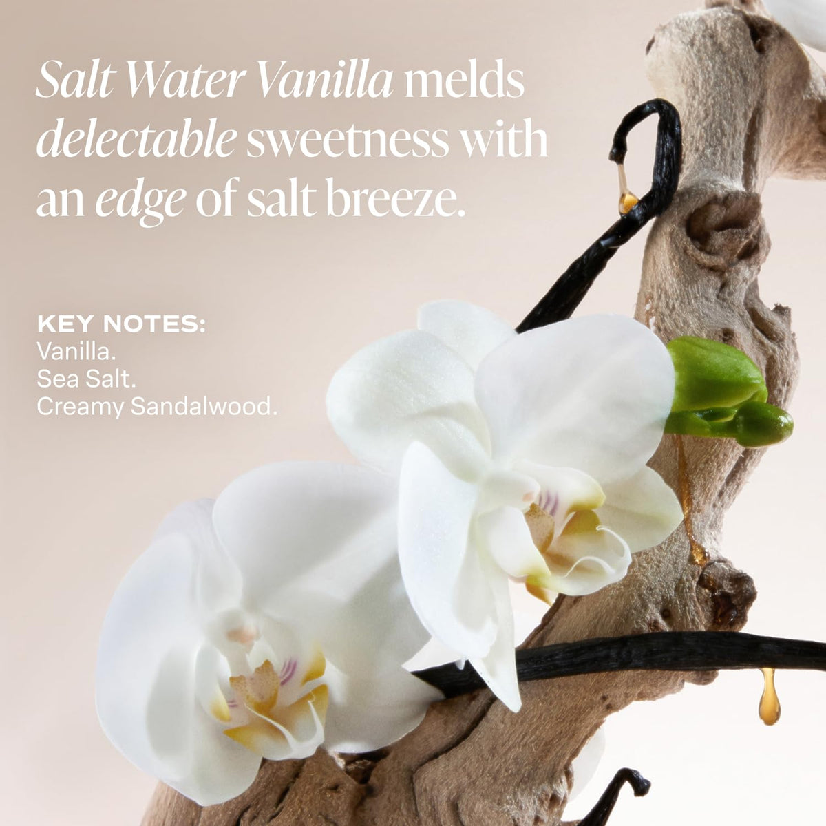 Saltair lifestyle image on a beach evoking salt water vanilla scent and fresh comfort