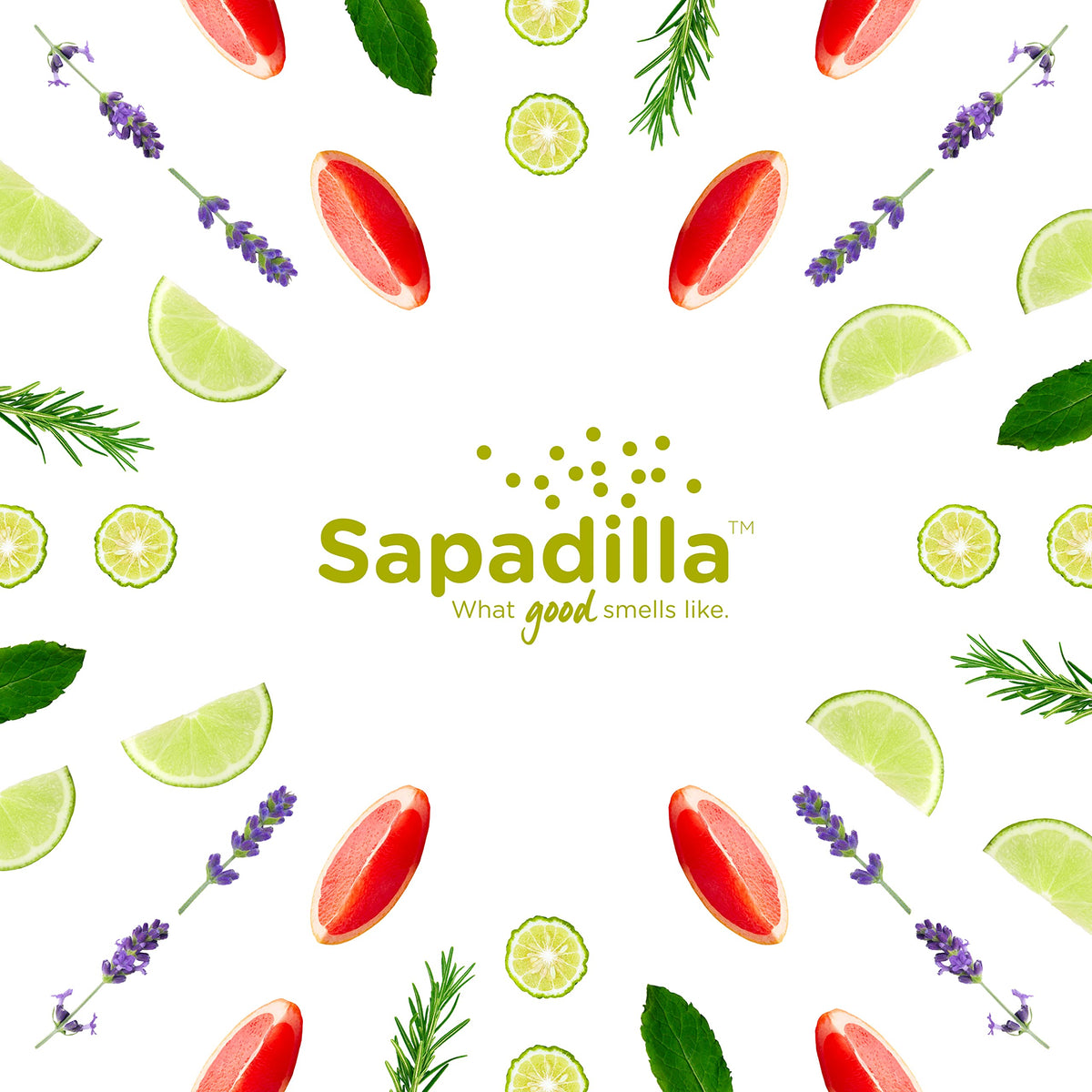 Sapadilla bottle by kitchen sink in use showing effective grease-cutting benefit