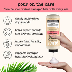 SAUCE BEAUTY bottle in hand demonstrating true 10 fl oz size