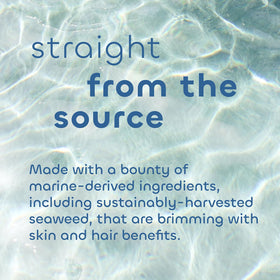 Seaweed Bath Co. hand holding bar for size comparison demonstrating travel-friendly benefit