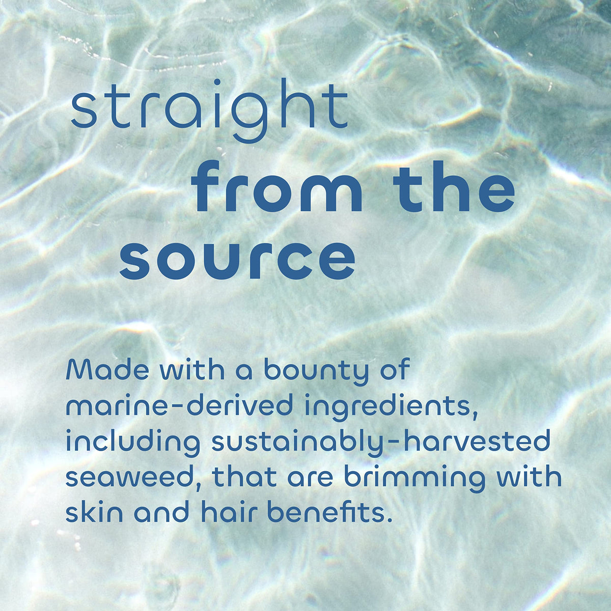 The Seaweed Bath Co. close-up of shea butter ingredient offering deep moisturizing benefit
