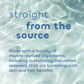 The Seaweed Bath Co. close-up of shea butter ingredient offering deep moisturizing benefit