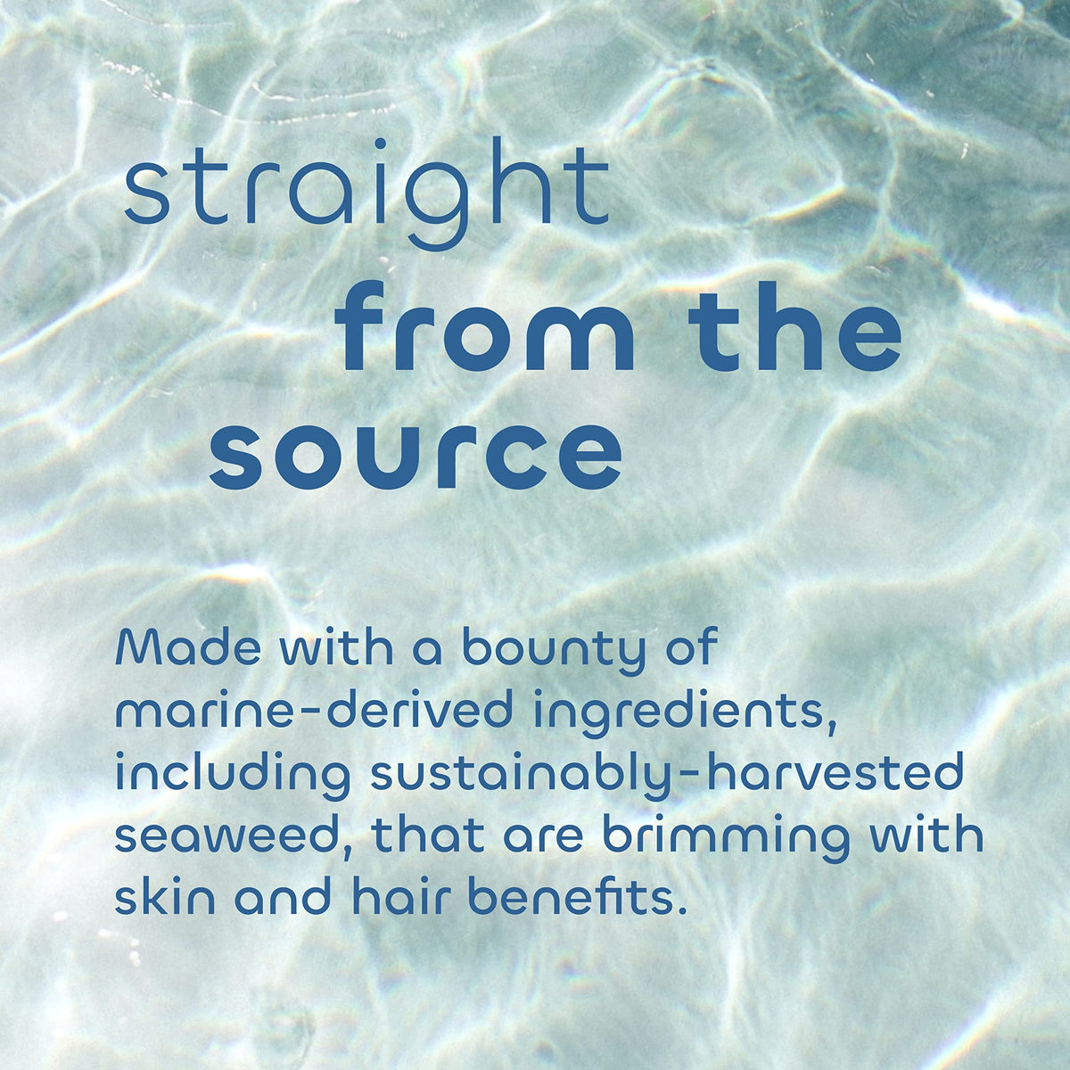 Seaweed Bath Co. key ingredients seaweed aloe argan oil emphasizing natural nourishment