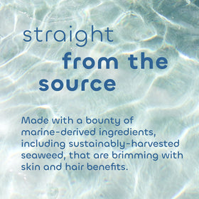Seaweed Bath Co. key ingredients seaweed aloe argan oil emphasizing natural nourishment