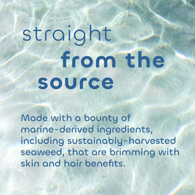 Seaweed Bath Co. label close-up showing seaweed and pro‑vitamin B5 ingredients and transparency benefit