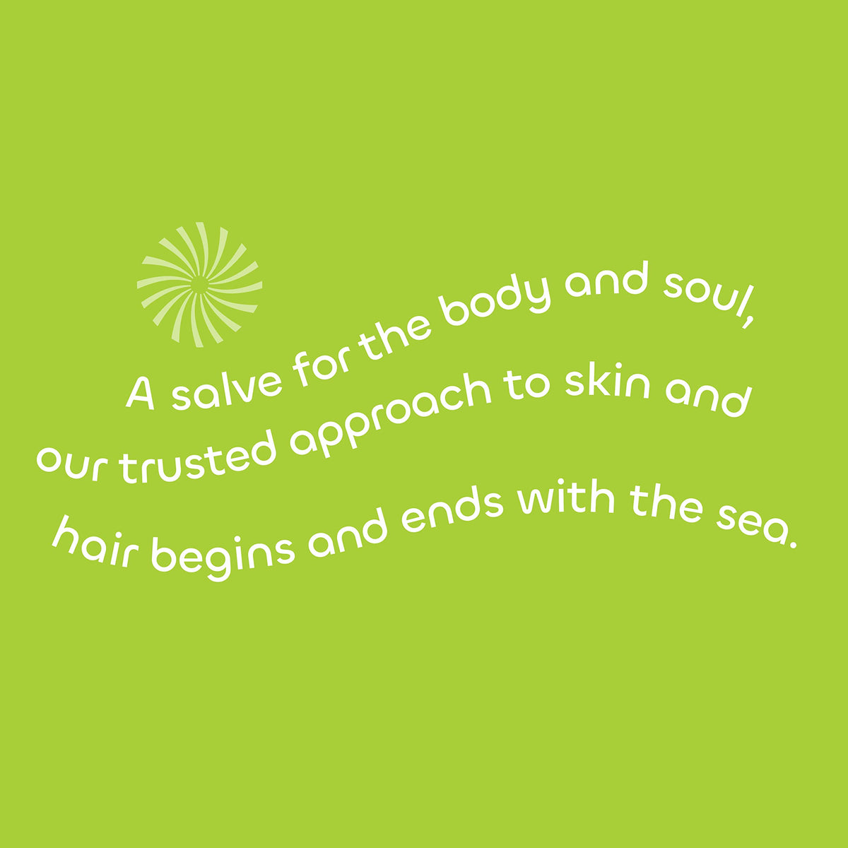 Seaweed Bath Co on bathroom shelf with beach props evoking fresh scent