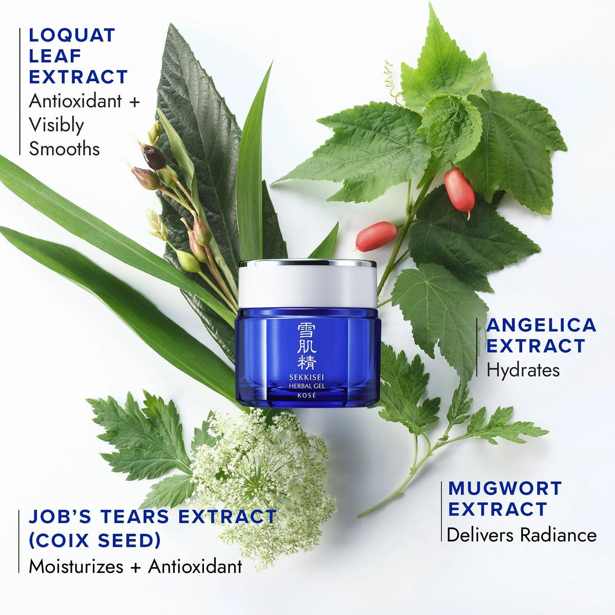 SEKKISEI close-up of Job’s Tears and Angelica highlighting herbal benefits