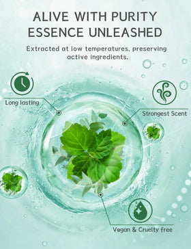 SEONNIX steamer placed in shower releasing aromatic vapors for inhalation comfort