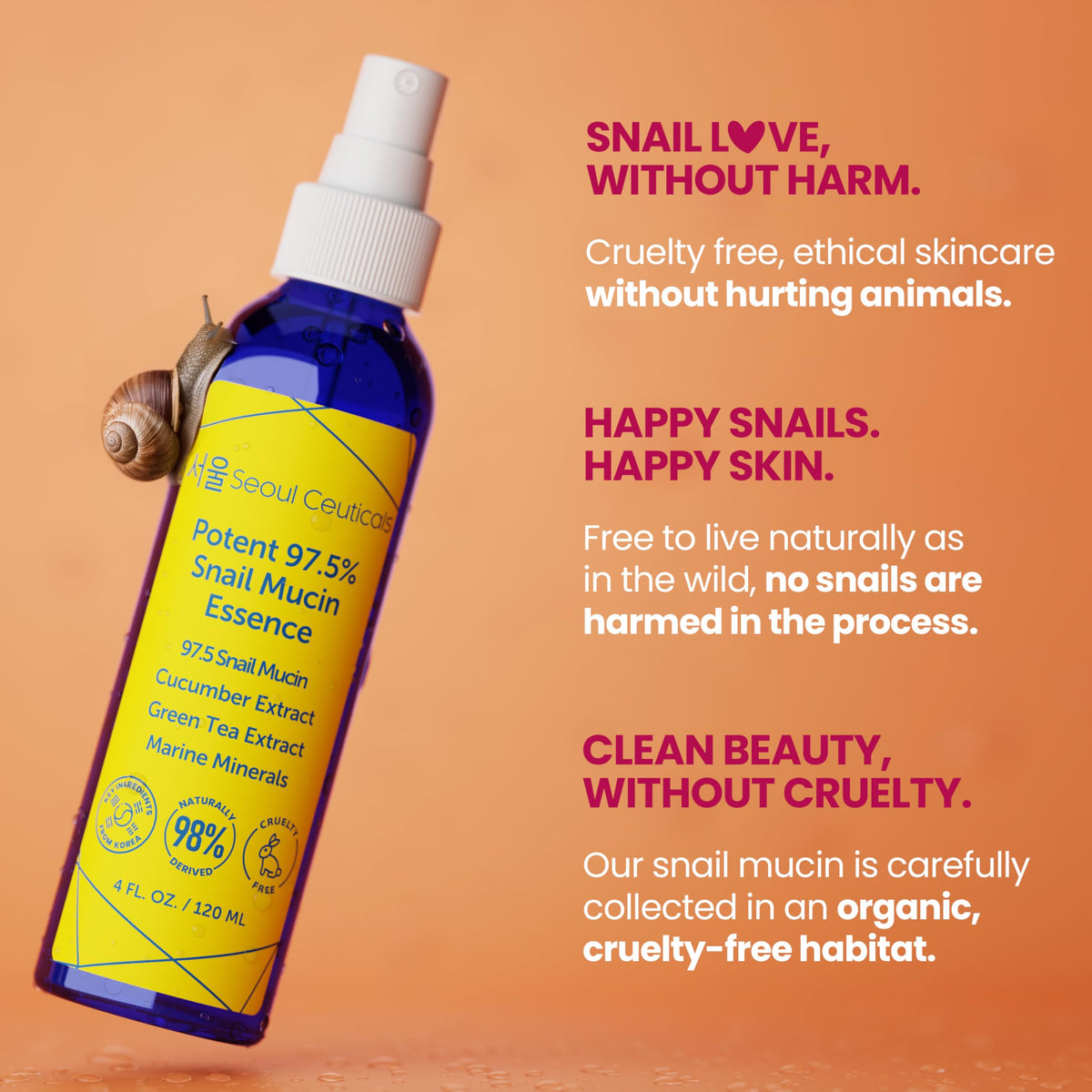 SeoulCeuticals before and after sample illustrating improved skin texture