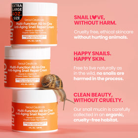 SeoulCeuticals label closeup showing ingredient list and transparent formulation benefits