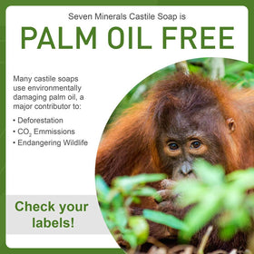 Seven Minerals dilution recipes sheet illustrating multiuse benefits and practical tips