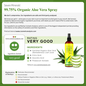 Seven Minerals close-up of fresh aloe leaf texture highlighting pure, freshly cut source