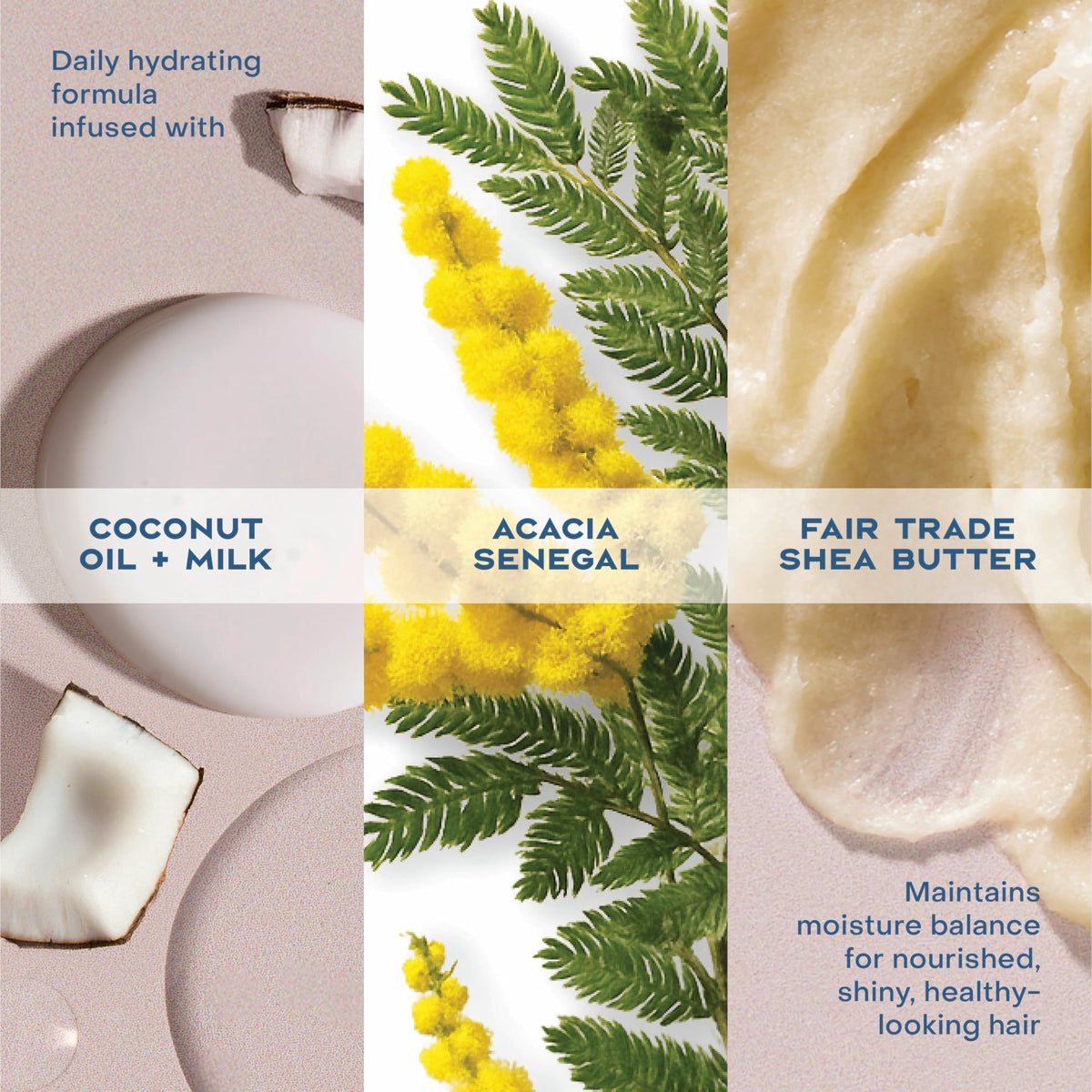 Shea Moisture hands applying conditioner demonstrating detangling and smoothing benefit