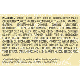 Shea Moisture shea butter and castor oil jar illustrating natural ingredients