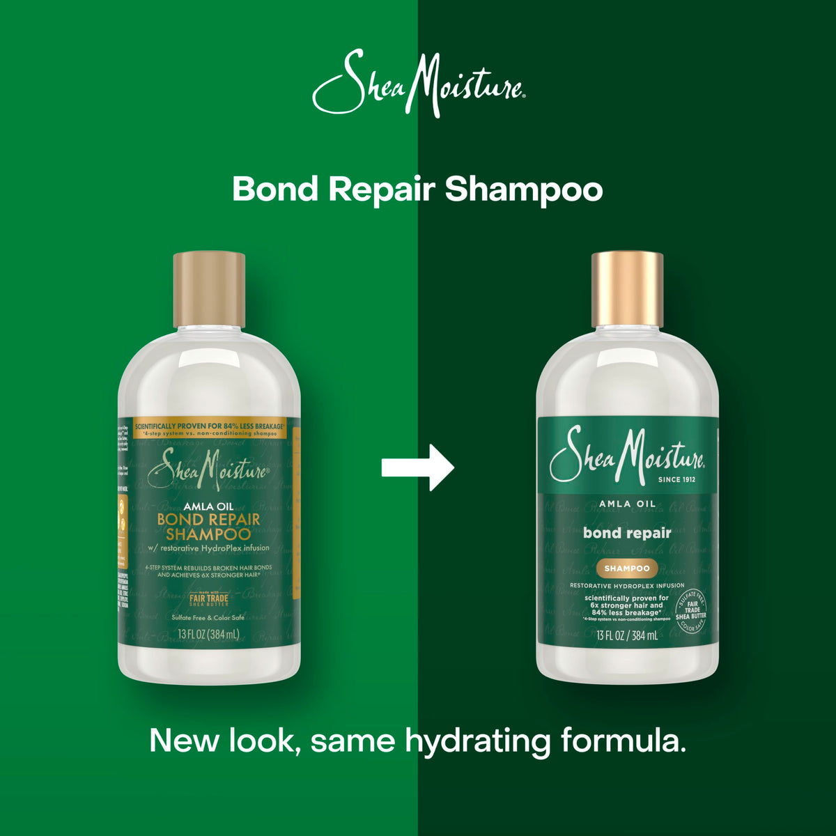 Shea Moisture creamy lather on hair for gentle deep cleansing