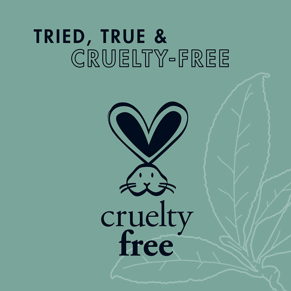 SheaMoisture ingredient focus with tea tree borage and aloe for gentle nourishment