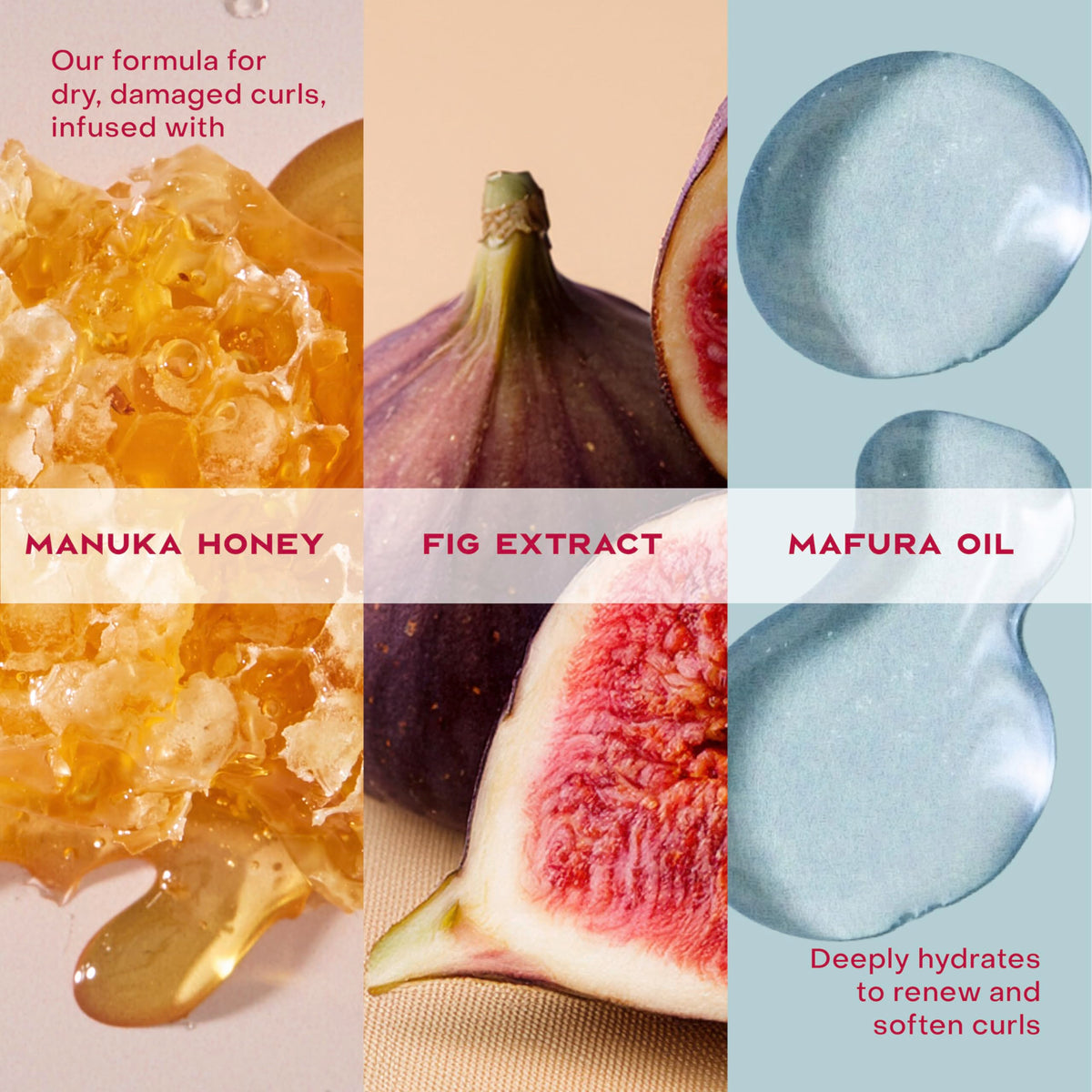 SheaMoisture product label close-up showing clean formulation benefits