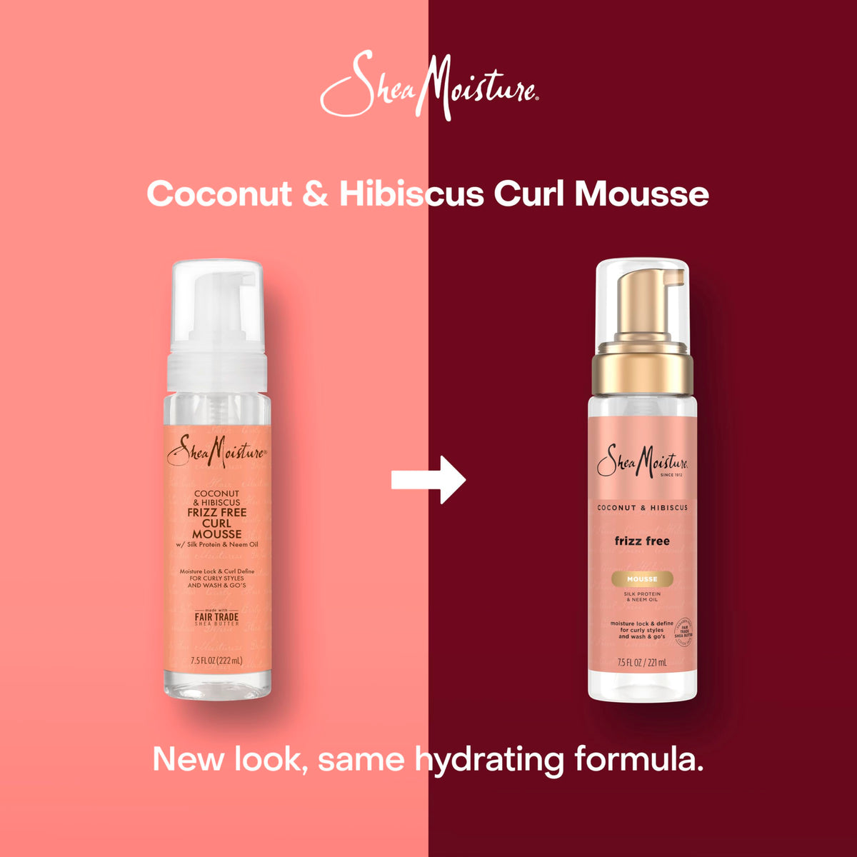Shea Moisture ingredients display with shea butter and coconut highlighting nourishment