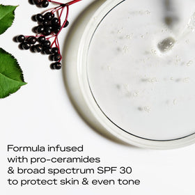 SheaMoisture elderberry and pro-ceramides ingredients displayed for hydration benefit