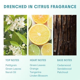 SHEGLAM ingredient label highlighting Centella and hyaluronic benefits