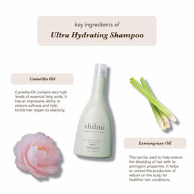 SHIBUI camellia oil closeup highlighting nourishing botanical benefits