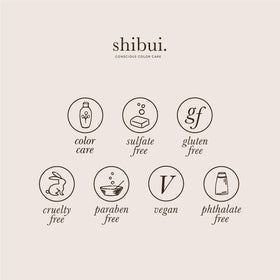 SHIBUI before and after hair comparison showing reduced frizz and gloss