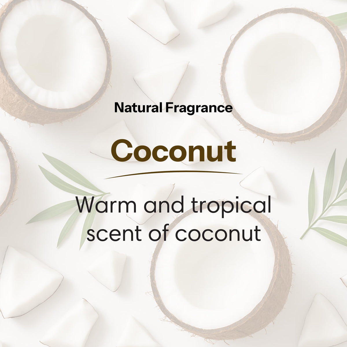 ShiKai coconut pump in hand dispensing gel for easy, controlled daily use