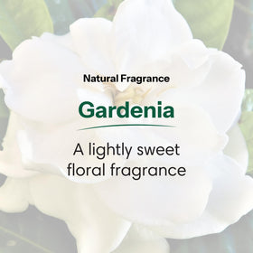 ShiKai Gardenia creamy foam texture showing moisturizing lather