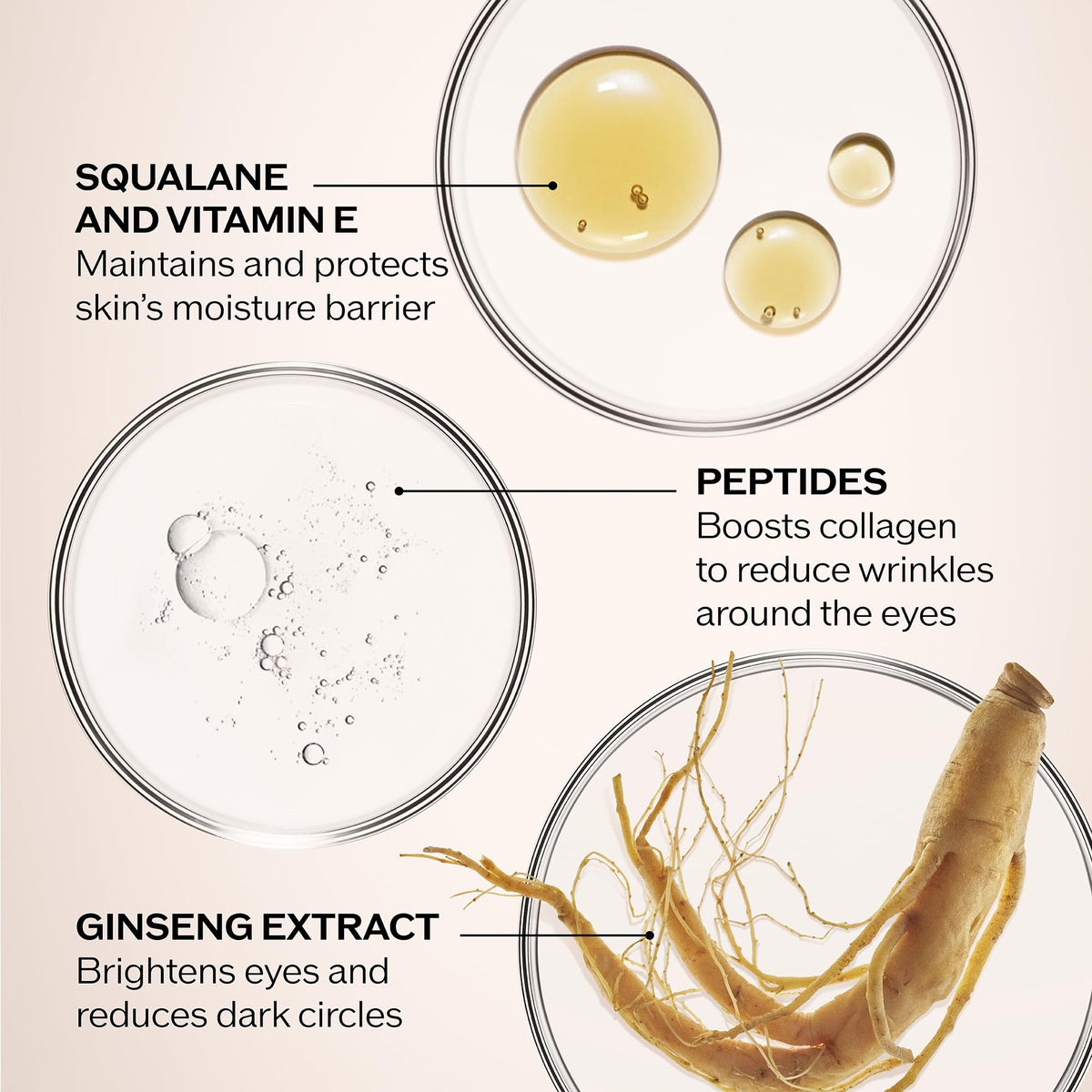 Shiseido Benefiance key ingredients display highlighting ginseng and squalane benefits