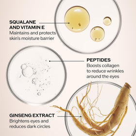 Shiseido Benefiance key ingredients display highlighting ginseng and squalane benefits