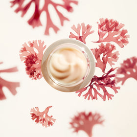 Shiseido Benefiance label detail with KOMBU-Bounce Complex text highlighting targeted anti-aging benefit
