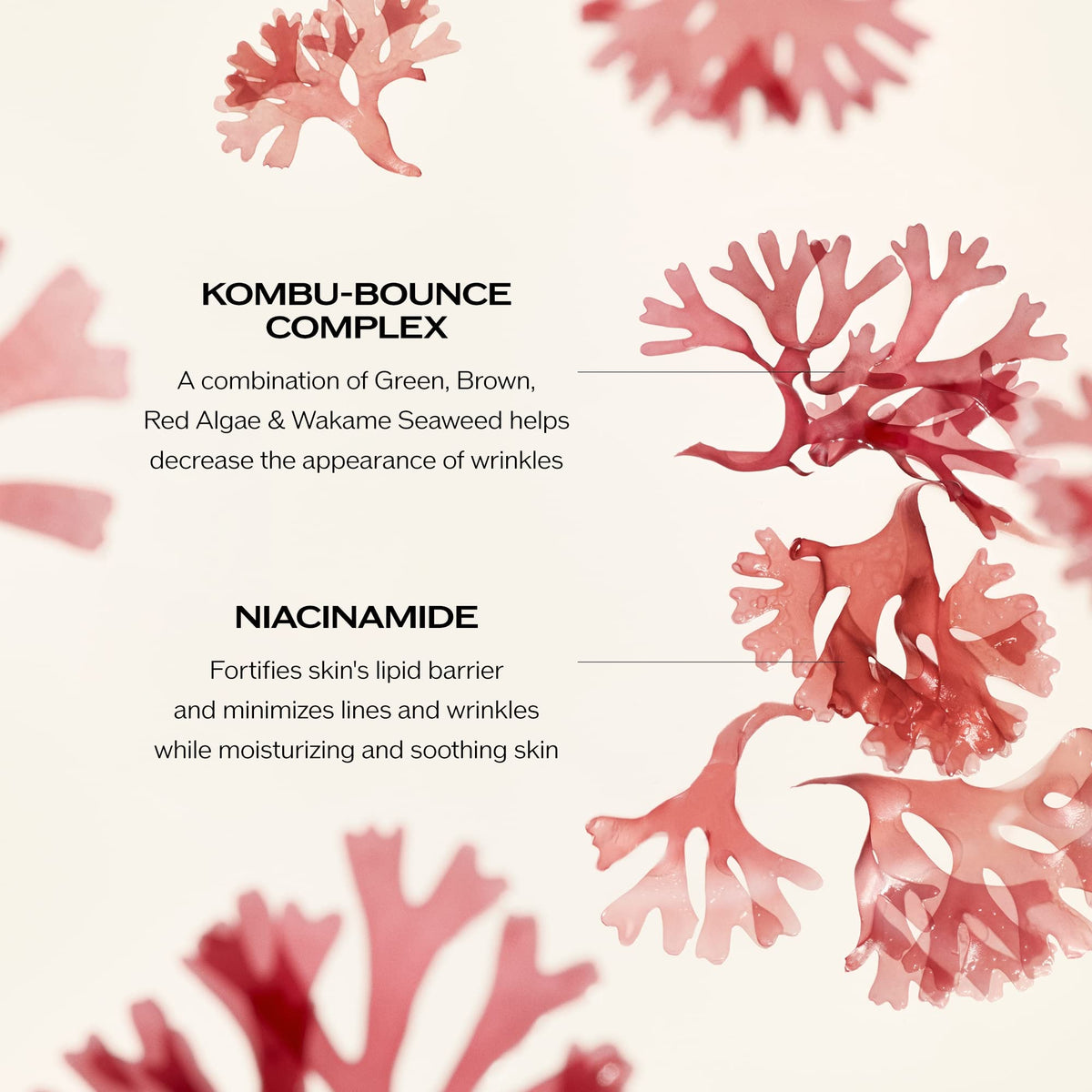Shiseido Benefiance close-up of ingredients panel emphasizing ReNeura Technology+ benefit