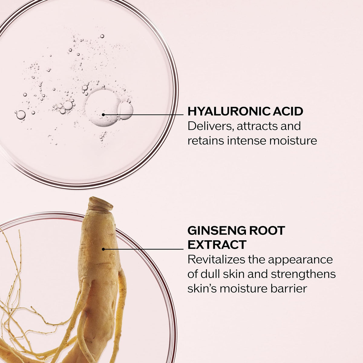 shiseido cream on hand being smoothed, demonstrating quick spreadability and hydration