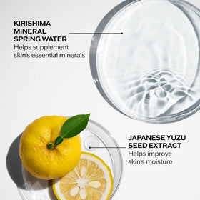Close-up of Japanese botanical ingredients highlighting Shiseido antioxidant and mineral support