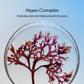 Shiseido label close-up highlighting SynchroShieldRepair Technology and ingredients