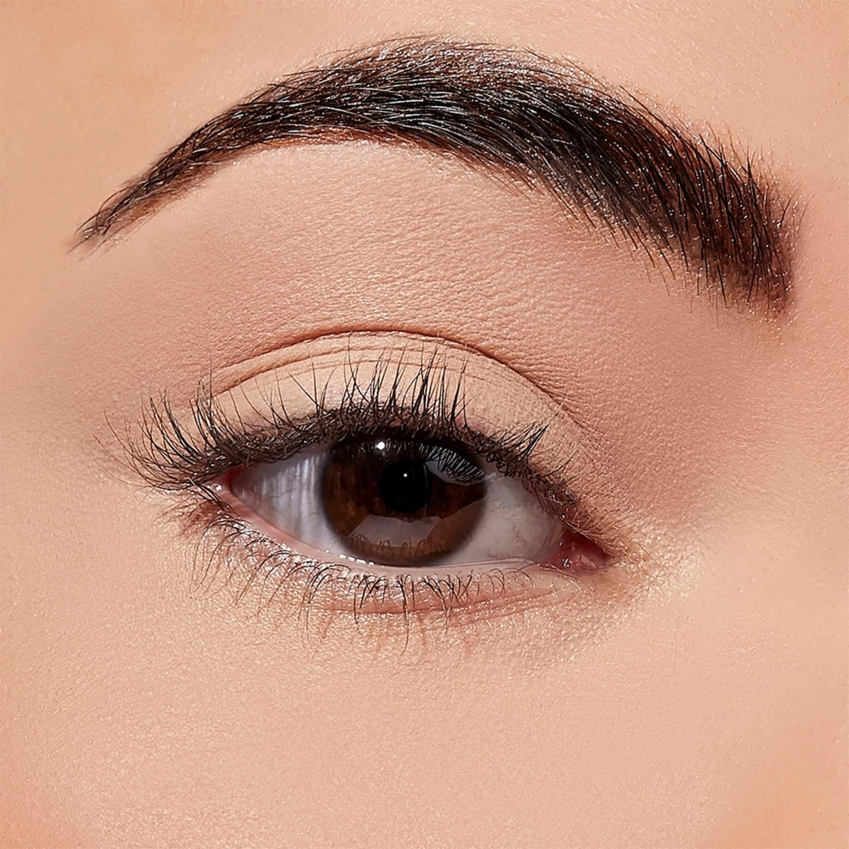 Sigma Beauty texture swatch on skin demonstrating smooth blendability and payoff