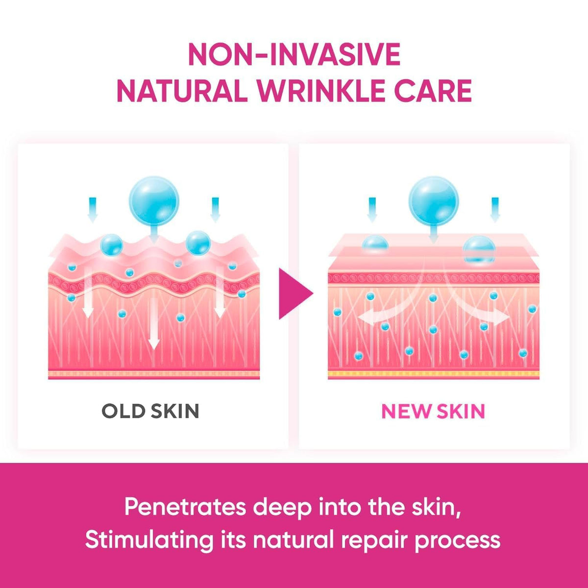 SILKDERMIS product label and ingredients view for transparency