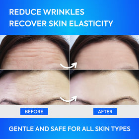 SILKDERMIS ingredients label with aloe collagen and vitamin E