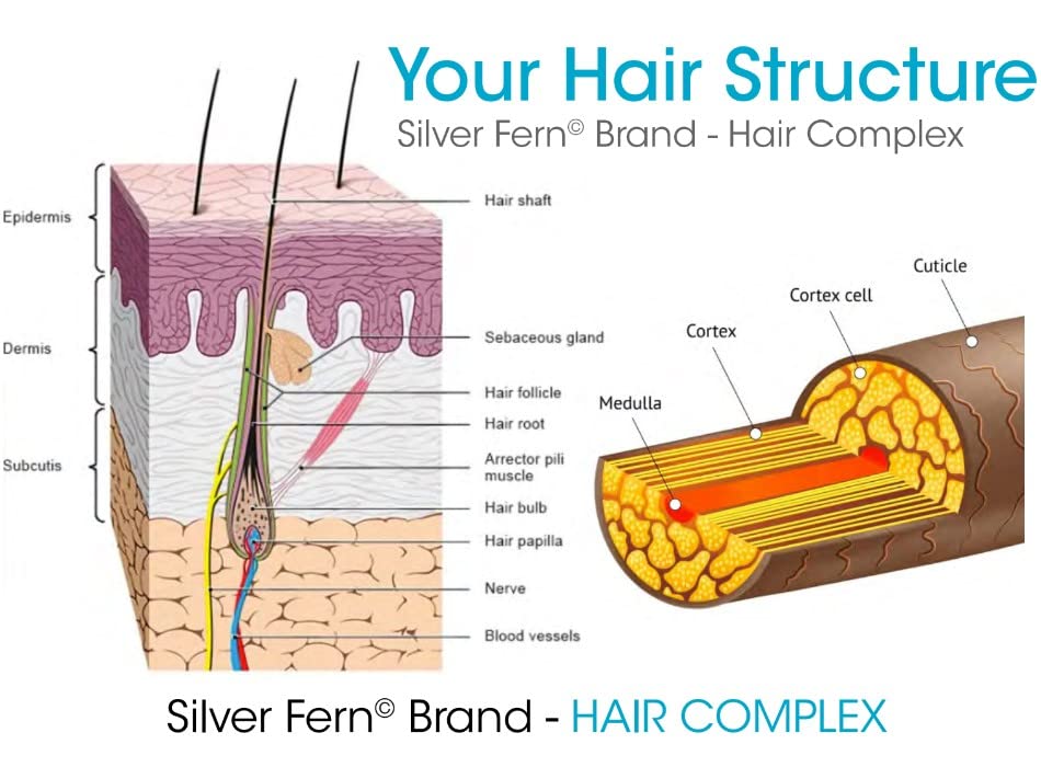 Silver Fern Keragen-IV ingredient close-up highlighting solubilized keratin for hair structure