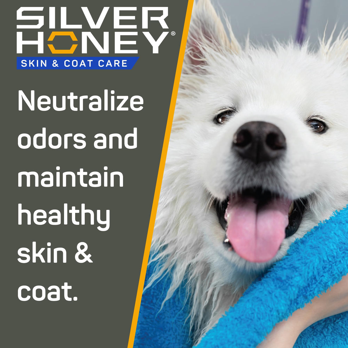 Silver Honey used during pet bath showing calm pet and easier grooming benefit