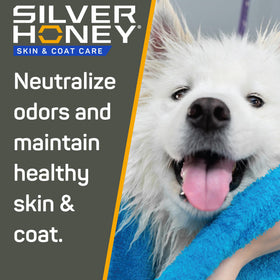 Silver Honey used during pet bath showing calm pet and easier grooming benefit