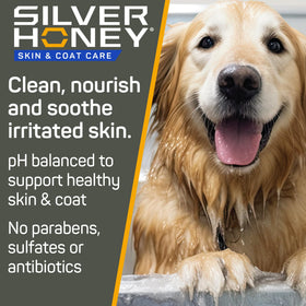 Silver Honey pump dispensing shampoo into hand for controlled use benefit