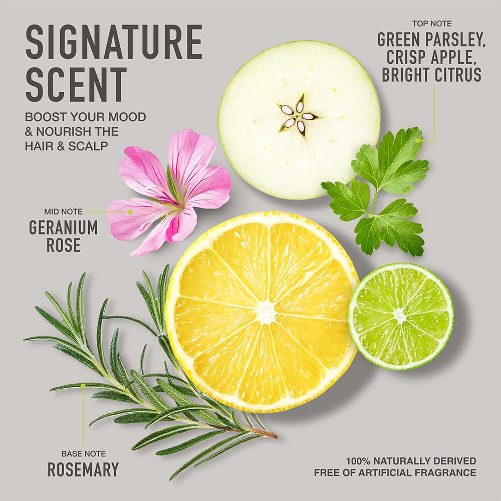 Silverist ingredients flatlay with oils and botanicals highlighting nourishment